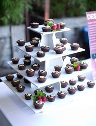 Quest Nutrition 'Beyond The Bar' Protein Powder Release Celebration